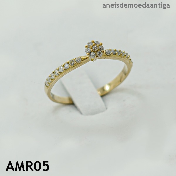 Anel Redondo de Moeda Antiga – AMR05