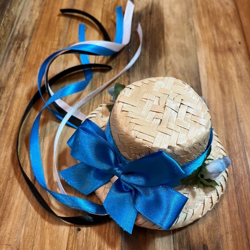 Chapéu Bico de Pato