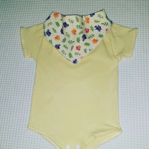 Bory Amarelo